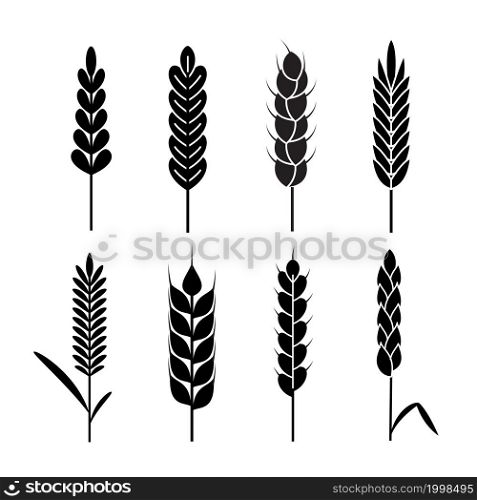 Wheat ears icons. Organic agriculture cereals harvest. Rye black silhouettes, bread or beer symbol, bakery logo element, natural ecological products label. Vector isolated on white background set. Wheat ears icons. Organic agriculture cereals harvest. Rye black silhouettes, bread or beer symbol, bakery logo element, natural ecological products label. Vector isolated set