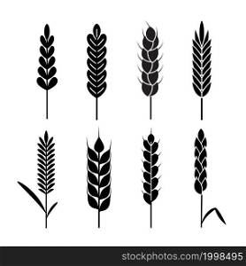 Wheat ears icons. Organic agriculture cereals harvest. Rye black silhouettes, bread or beer symbol, bakery logo element, natural ecological products label. Vector isolated on white background set. Wheat ears icons. Organic agriculture cereals harvest. Rye black silhouettes, bread or beer symbol, bakery logo element, natural ecological products label. Vector isolated set