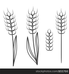 wheat ears scretch isolated on white, stock vector illustration