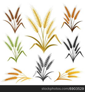 Wheat ears set. Bread logo or label design element. Vector illustration