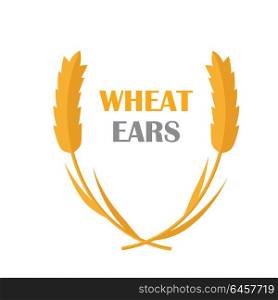 Wheat Ears vector banner in flat style design. New harvest, grain growing concept. Illustration for bakery, bread store, agricultural company logo design. Ripe ears with text on white background. . Wheat Ears Concept Illustration in Flat Design.