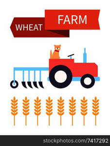 Wheat farm poster with dog in tractor and plough. Ear of wheaten farming crops and grain for baking food. Plant harvesting with automobile help vector. Wheat Farm Poster with Tractor Vector Illustration