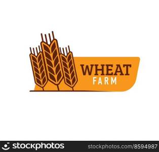 Wheat, farm rice, oat or barley millet and cereal ear, vector organic food icon. Farm bakery wheat spikelet symbol for bread or cereal and grain food products shop or bio grocery store. Wheat, farm rice, oat barley or millet cereal ear