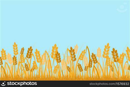 Wheat field background. Golden ears of cereals against blue sky decorative rural ecological area with ripe harvest fertile abundant meadow with organic vector product.. Wheat field background. Golden ears of cereals against blue sky decorative rural ecological area.