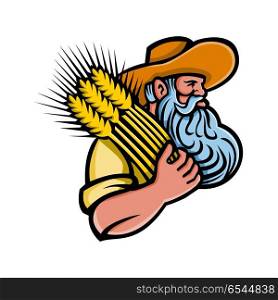 Wheat Grain Farmer With Beard Mascot. Mascot icon illustration of head of a organic grain farmer with beard holding a bunch of dried wheat looking to side on isolated background in retro style.. Wheat Grain Farmer With Beard Mascot