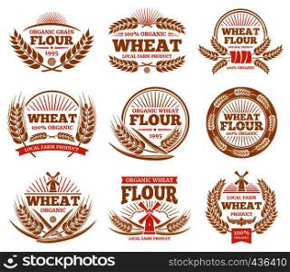 Wheat grain product and bread vector labels. Nature wheat ears badges. Agriculture sticker and label, wheat and organic flour illustration. Wheat grain product and bread vector labels. Nature wheat ears badges