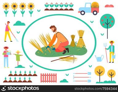 Wheat harvesting vector, agriculture and farming, farmer working on field, scarecrow and tree with ripe fruits, male with instruments on farm and plantation. Harvesting Season, Man Working on Field Wheat