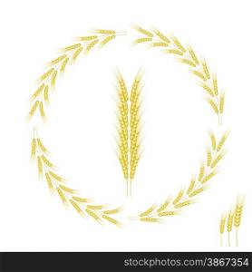 Wheat Icon Isolated on White Background. Wheat Frame.. Wheat Icon