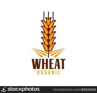 Wheat icon, rice, oat barley or millet cereal ear, organic food and farm bakery vector symbol. Wheat ear or rye spikelet symbol for bread bakery or cereal and grain products shop. Wheat icon, rice, oat barley or millet cereal ear