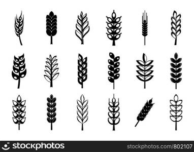 Wheat icon set. Simple set of wheat vector icons for web design isolated on white background. Wheat icon set, simple style