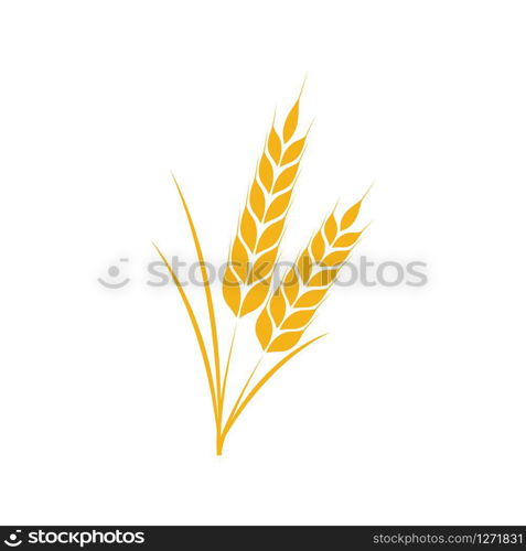 Wheat icon Vector Illustration design Logo template