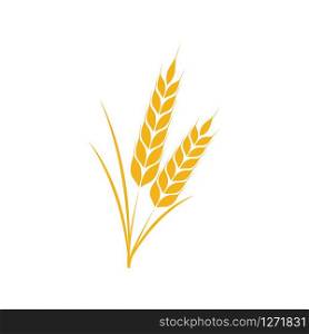 Wheat icon Vector Illustration design Logo template