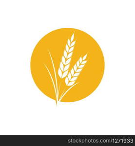 Wheat icon Vector Illustration design Logo template