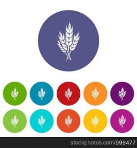 Wheat icons color set vector for any web design on white background. Wheat icons set vector color