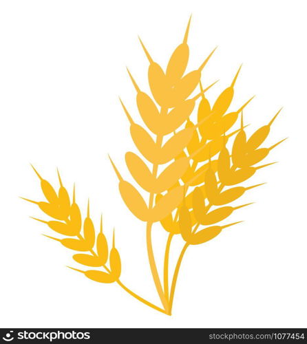 Wheat, illustration, vector on white background.