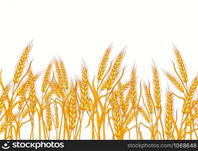wheat isolated on white background. Template, print, design element. Vector illustrations