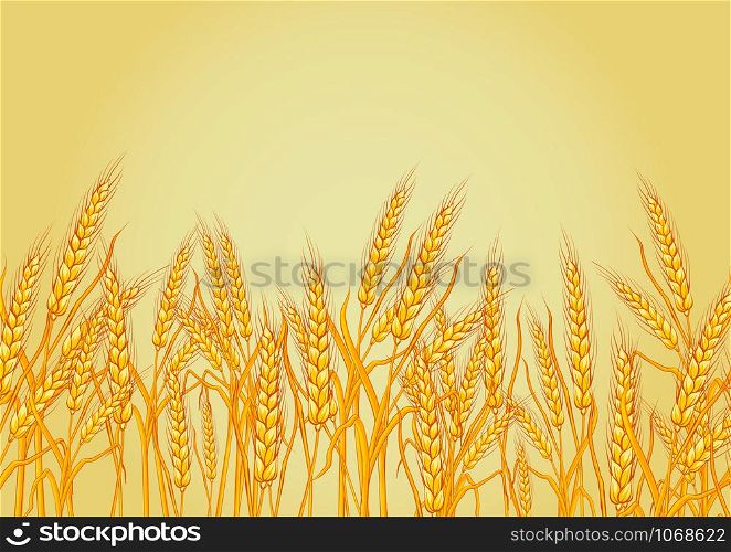 wheat isolated on yellow background. Template, print, design element. Vector illustrations