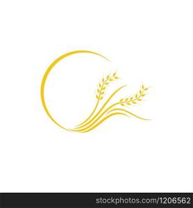Wheat logo design related to agriculture or bakery