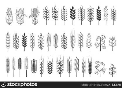 Wheat logo. Grain spikes and barley cereal simple icons, agriculture harvest heraldic emblem. Vector set illustration banner branches cereals. Wheat logo. Grain spikes and barley cereal simple icons, agriculture harvest heraldic emblem. Vector set