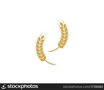 Wheat Logo Template vector