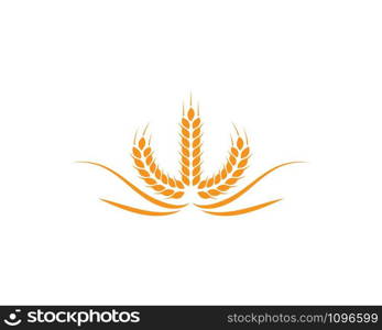 wheat Logo Template vector icon design