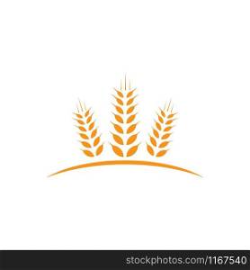 Wheat Logo Template vector icon design