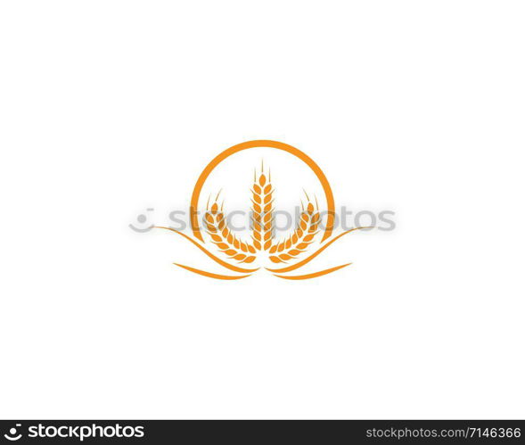 wheat Logo Template vector icon design