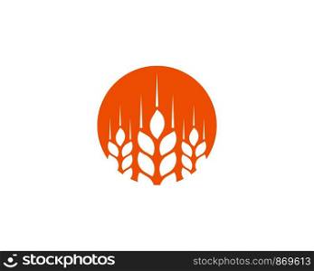 wheat Logo Template vector icon design
