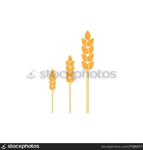 Wheat logo template vector icon illustration