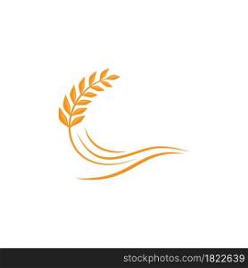 Wheat Logo template vector illustration design