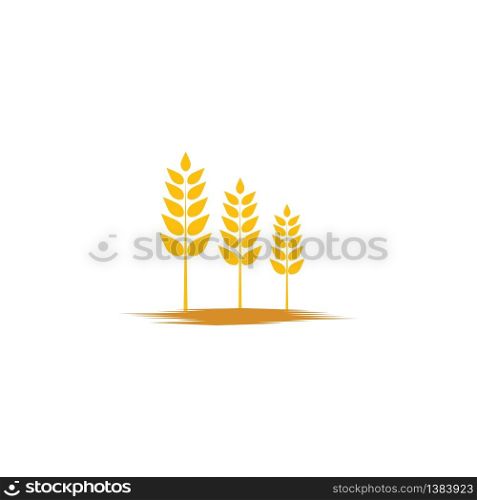Wheat Logo Template vector symbol nature
