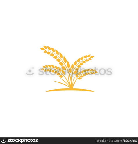 Wheat Logo Template vector symbol nature