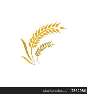 Wheat logo vector icon illustration design