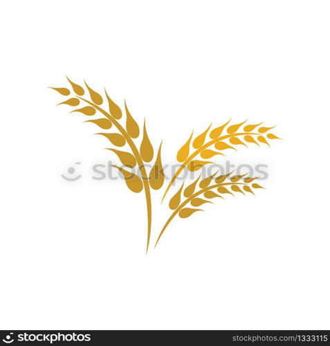 Wheat logo vector icon illustration design