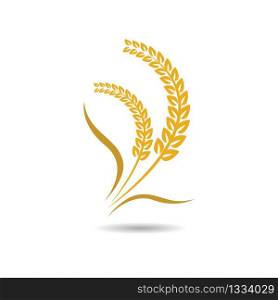 Wheat logo vector icon illustration design