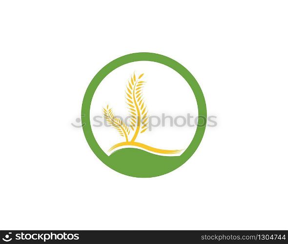 Wheat logo vector template