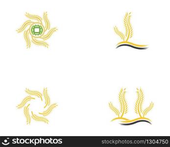 Wheat logo vector template