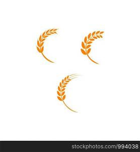 wheat logo vector template design