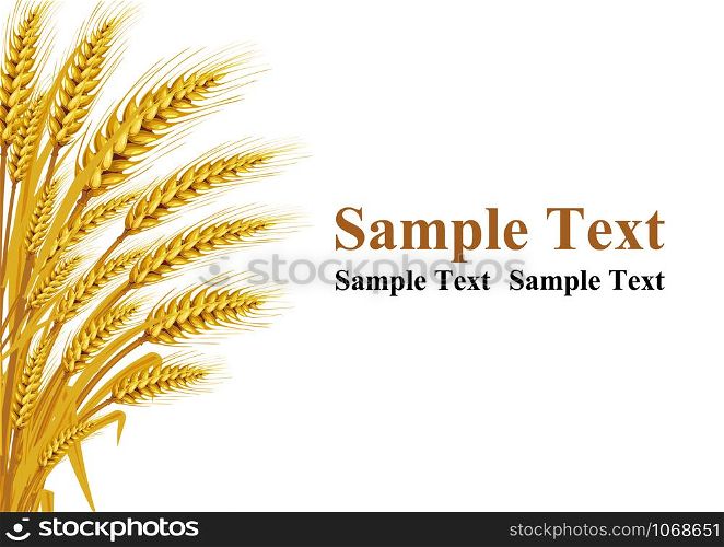 Wheat on the white background in the left hand corner has space for text input. Vector illustrations