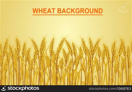 Wheat on the yellow background in the left hand corner has space for text input. Vector illustrations