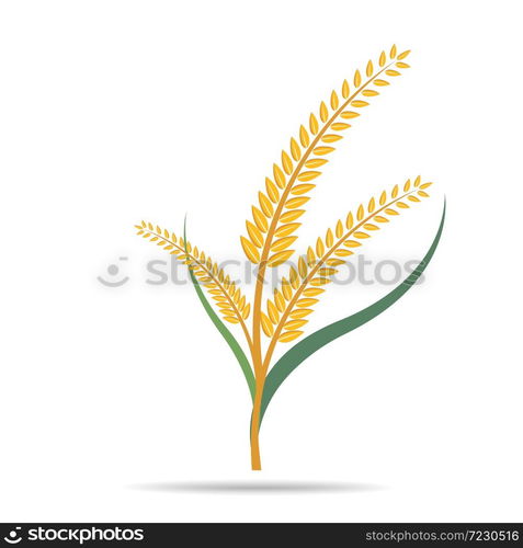 wheat on white and text, agricultural vector illustration