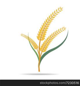 wheat on white and text, agricultural vector illustration