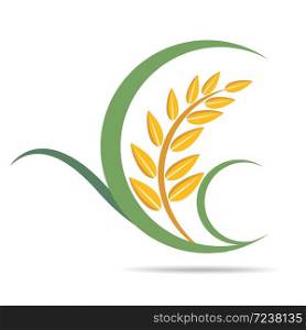 wheat on white and text, agricultural vector illustration