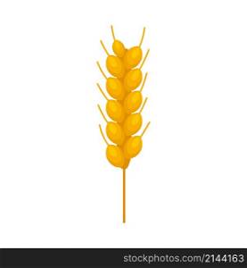 Wheat plant icon. Flat illustration of wheat plant vector icon isolated on white background. Wheat plant icon flat isolated vector