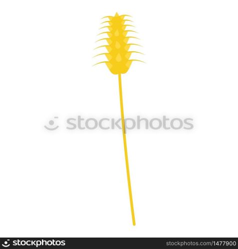Wheat plant icon. Isometric of wheat plant vector icon for web design isolated on white background. Wheat plant icon, isometric style