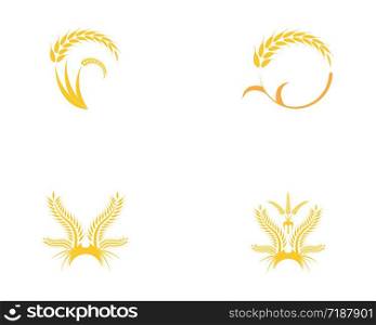 Wheat rice agriculture logo set illustration