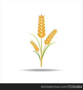 Wheat rice icon. Crop, barley or rye symbol isolated on white background