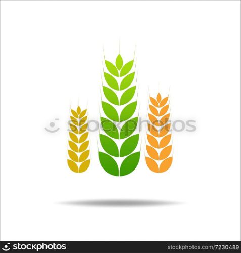Wheat rice icon. Crop, barley or rye symbol isolated on white background