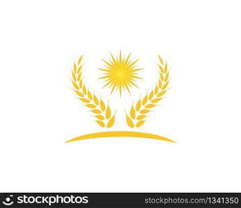 Wheat rice icon logo vector