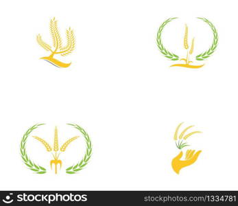 Wheat rice icon logo vector template